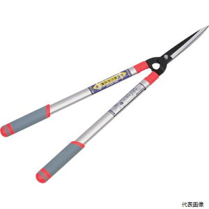 L{V 2021 GS V^A~Lk()