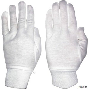 yX^v[zӂG-578-LW[WtȃXX2o