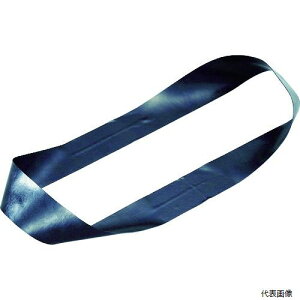 yX^v[zgXR TRBR20300BK TRUSCO Soh pohO 20mm×܌a300mm ubN 10{