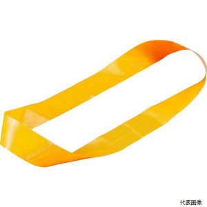 yX^v[zgXR TRBR20300OR TRUSCO Soh pohO 20mm×܌a300mm IW 10{