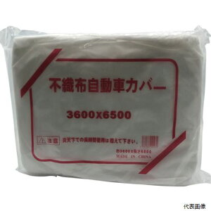 yX^v[zxmHƗpi EAFL-N FKY sDzԃJo[  L 3.6×6.5m