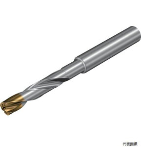 ThrbN 860.1-0810-066A1-GM SANDVIK Rh860]GM d\bhh(720) X1BM
