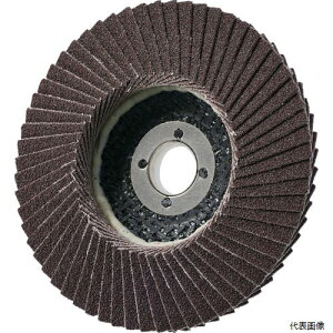 �C�`�O�` PGAX10015-A-60 AC PGA-X �t���b�v�f�B�X�N A
