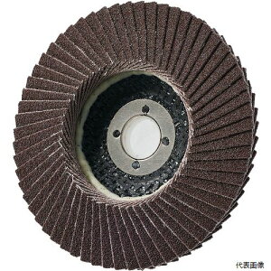 �C�`�O�` PGAX10015-A-80 AC PGA-X �t���b�v�f�B�X�N A