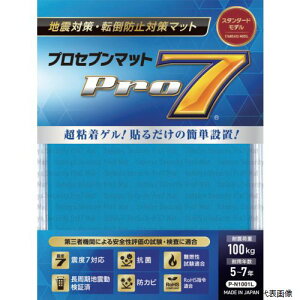 yX^v[zvZu P-N1001L Pro-7 ϐk}bg 100~p 1