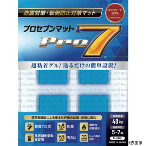 yX^v[zvZu P-N30L Pro-7 ϐk}bg 30~p 4