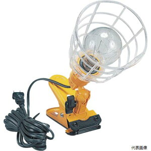 n^~ebh KL-200 n^ yփv P100V 200Wϐkdt d5m