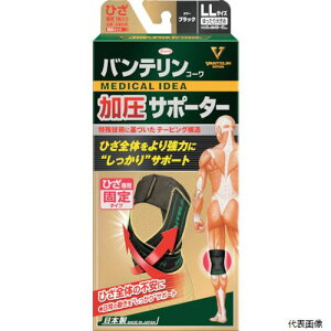 a 22936 oeT|[^[ ЂpŒ^Cv 傫߃TCYubN