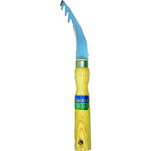 L{V 1519 GS `bvt ڕt