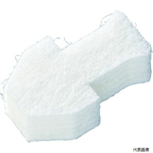 TNNpX P-PKKJ TN S|p}[J[ɑ ֐c (10)