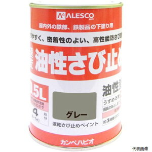JynsI 00137645091005 KANSAI Jy ю~ 0.5L O[