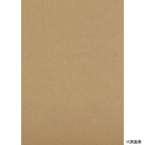 yX^v[zgXR DS2129 TRUSCO i{[V[g 210x297