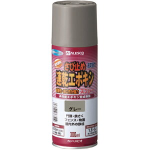 JynsI 00707645092300 KANSAI G|LVю~߃Xv[ 300ML O[