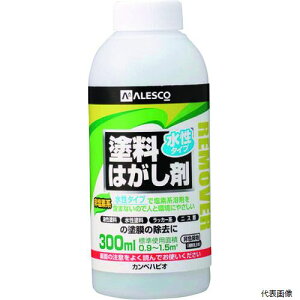 JynsI 00147660202300 KANSAI ^Cvh͂ 300ML