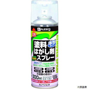 JynsI 00147660212300 KANSAI ^Cvh͂܃Xv[ 300ML