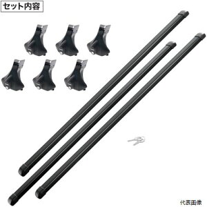 (s) J[Cg BU200 Carmate Ɩp[tLA nCG[Xp