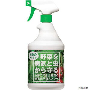 yX^v[z 422000 g`[ |łł؂̕aQ\hXv[900ml