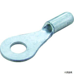 ���{�����[�q���� R5.5-6 JST �ی^�[�q R5.5-6 (1��(��)��100��)