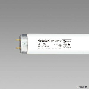 FL30SW HotaluX ǃX^[^` ʏƖpuv CtC 30W F