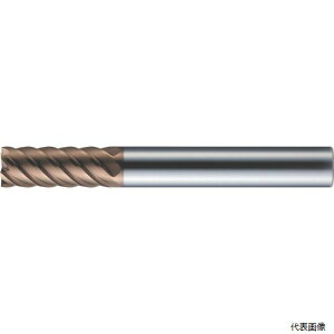 MOLDINO CEPR4025-TH ���d���W�A�X�G���h�~�� �G�|�b�NTH�n�[�h ���M�����[�n CEPR4025-TH