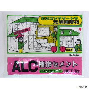 yX^v[zƒ뉻wH KK-019 ALCCZg 1KG