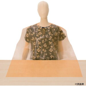 �y�X�^���v�����[�z�F�s�{���� LPE0251NSOB �V���K�[ �H���G�v�����g���؂�(50����)�I�����W