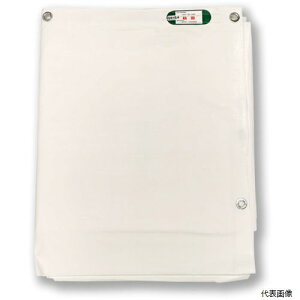 �����H�� SPL3654 ���� �^�[�s�[ �X�[�p�[���C�g�h���V�[�g �z���C�g 3.6m×5.4m