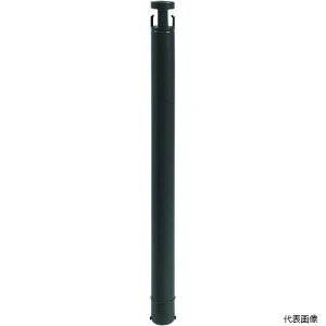 �y�X�^���v�����[�z �J�[�{�[�C CP10 CAR-BOY �J���[�v���|�[�� �s���[ �u���b�N