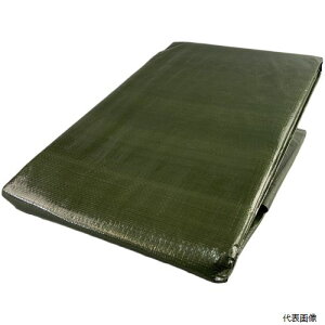 yX^v[z OGS-05 ^JCN #3000 ODO[V[g 2.7mx3.6m