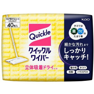 yX^v[zԉ 281999 Kao NCbNCp[ ̋zhCV[g 40