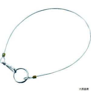 {Ώ\ 308042 Ώ\ C[v(tbN{Ot) F-300 0.8×300 10{g SUS