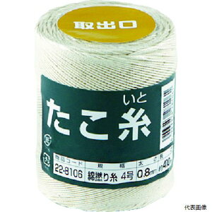 yX^v[z؍j 22-8106   ȔQ莅 #4