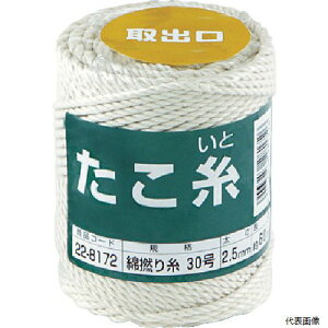 yX^v[z؍j 22-8172   ȔQ莅 #30