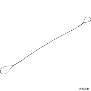 �g���X�R TWD-10S6 TRUSCO �ʊ|�����C���[���[�v �i���� 10mmX6m