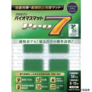 yX^v[zvZu B-N30G Pro-7 oCI}Xϐk}bg 30~p 4