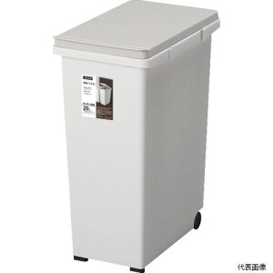yX^v[zAXx 663857 ASVEL Lb`WCg20 O[