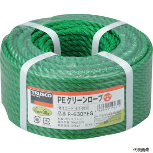 yX^v[zgXR R-630PEG TRUSCO PEO[[v 3 a6mmX30m