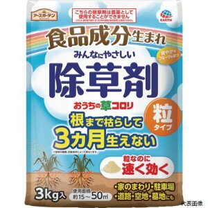 yX^v[zA[X 063212 A[X  ̑R ^Cv3kg