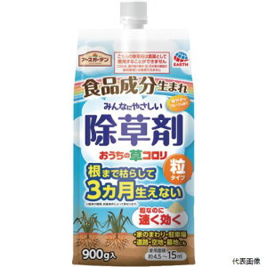 yX^v[zA[X 063311 A[X  ̑R ^Cv900g