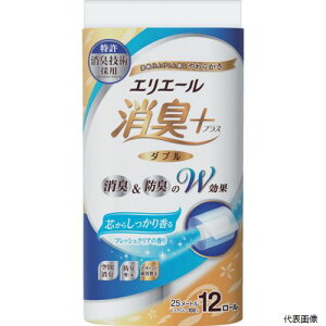 yX^v[zEBS 823582 GG[ L{gCbgeBV[荁 tbVNA̍ 12R(_u)