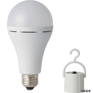 yX^v[z͂Ȑ쏊 KS01-WH ~d^LEDd hГd F