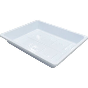 yX^v[zTvebN 02377 Tv ^obg 4c؂