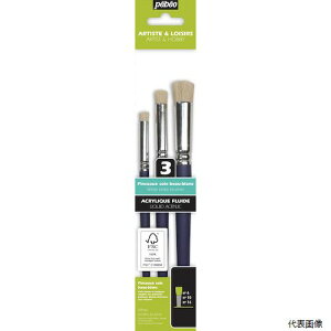 yX^v[zyxIEW| 952600 Pebeo ؖуXeVM 3{Zbg(4^10^16)FSCF Z