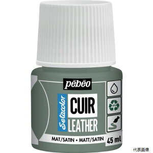 yX^v[zyxIEW| 295615 Pebeo Z^J[U[(vp)}bgF 45mlNO.15 O[