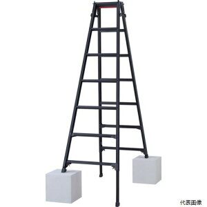 (������s��) ���J��H�� RYZB-21A �n�Z�K�� �n�V�S���p�L�k�r��(�u���b�N���[�x��)RYZB-21a(10912)