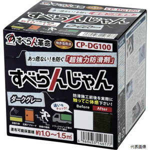 AObv CP-DG100 h ׂ񂶂 ޗ{Zbg(_[NO[)