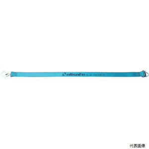 yX^v[zI[Z[t AA-2001 allsafe JSԗh~xg2{