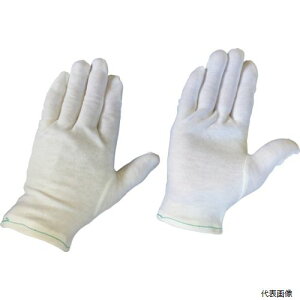 yX^v[zuXgBSC-1-SBLASTONȃXXS(12o)