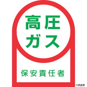 {Ώ\ 233060 Ώ\ wbgpXebJ[ KXۈӔC HL-60 35×25mm 10g ItB