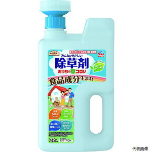 yX^v[zA[X 293312 A[X  K[f ̑R WEwbh 2L